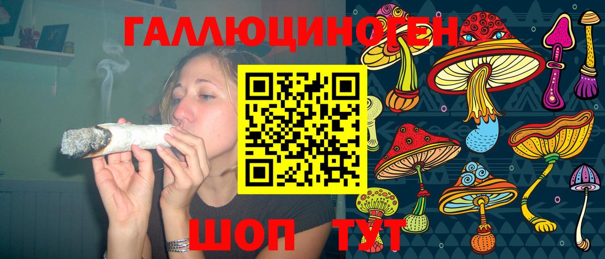 Армавир  Галлюциногенные грибы Cubensis  Вход с VPN 