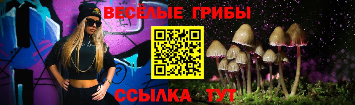Псилоцибиновые грибы прущие грибы Армавир